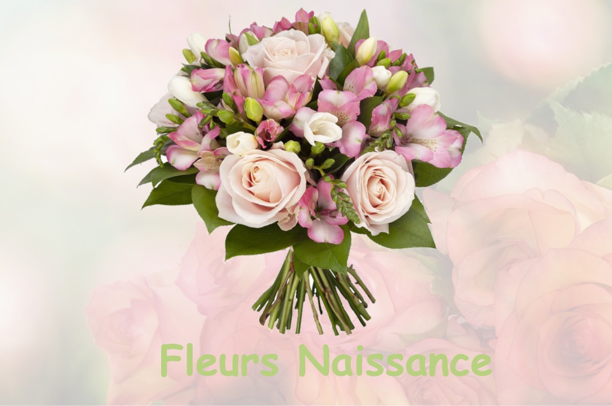 fleurs naissance FERRIERES-SAINT-HILAIRE